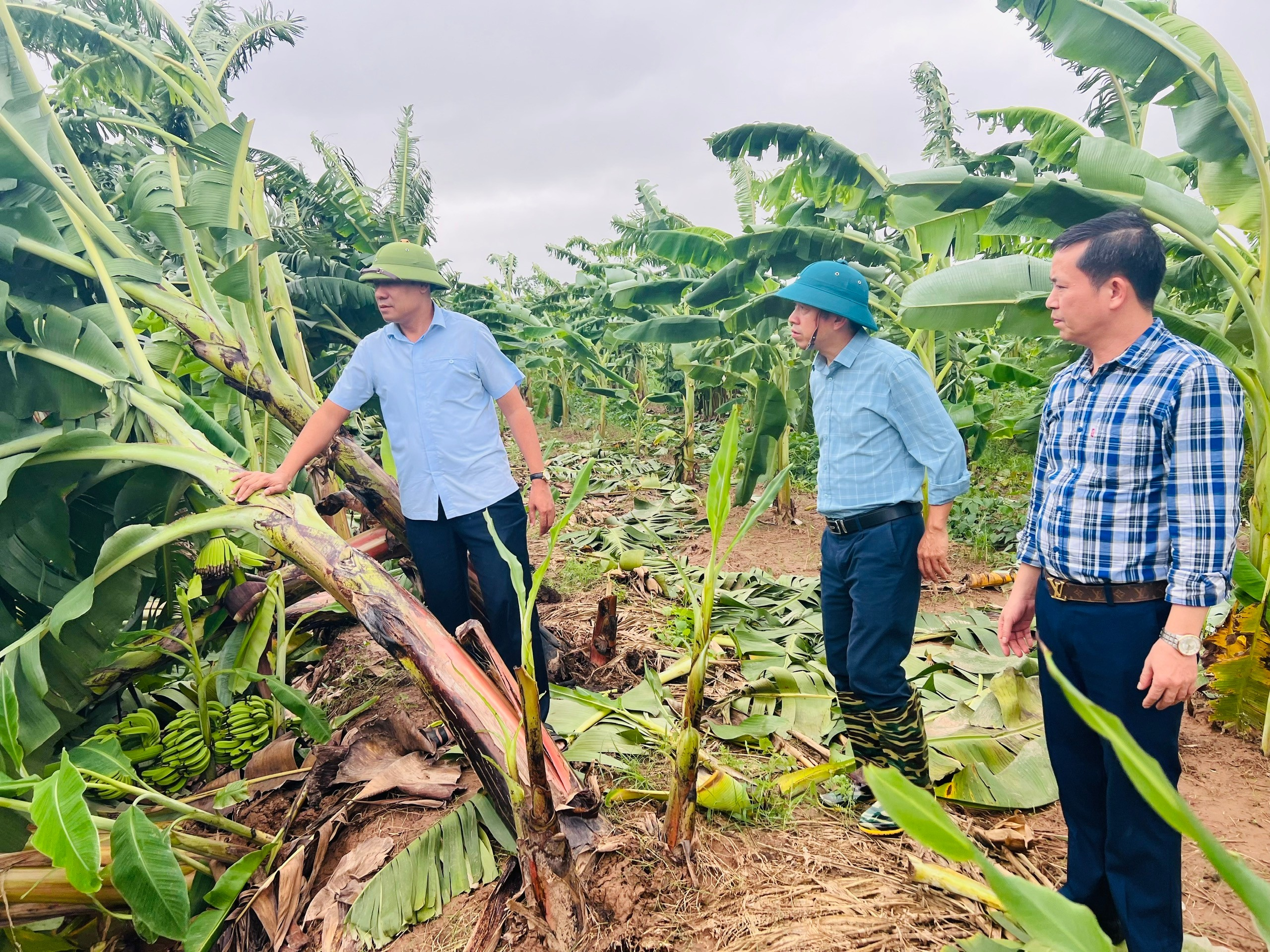 Đồng chí Lương Công Chanh, Bí thư Đảng ủy-Chủ tịch HĐND phường Sơn Nam đi kiểm tra, chỉ đạo khắc phục hậu quả sau mưa bão của cơn bão số 3 (WIPHA)