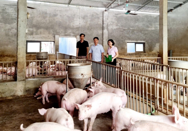 Giảm lãi xuất cho vay một số chương trình tín dụng chính sách từ ngày 01/12/2025 đến ngày 31/12/2025