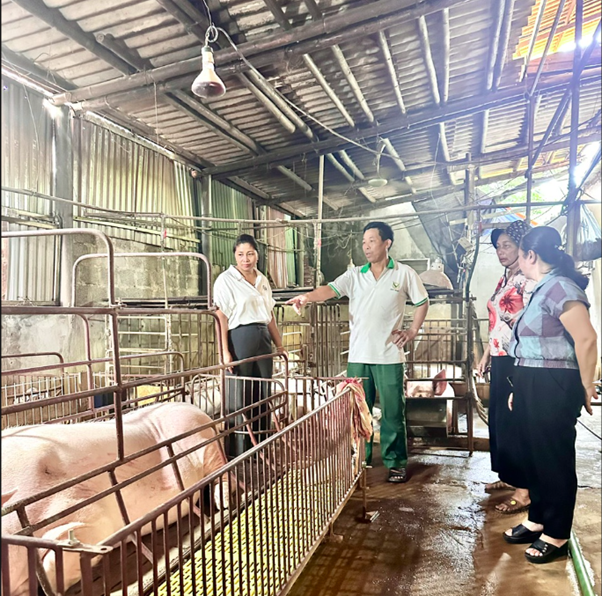 Ban đại diện Hội đồng quản trị Ngân hàng Chính sách xã hội (HĐQT NHCSXH) phường Sơn Nam thực hiện kiểm tra hoạt động quản lý nguồn vốn tín dụng chính sách tại tổ dân phố Hùng Cường