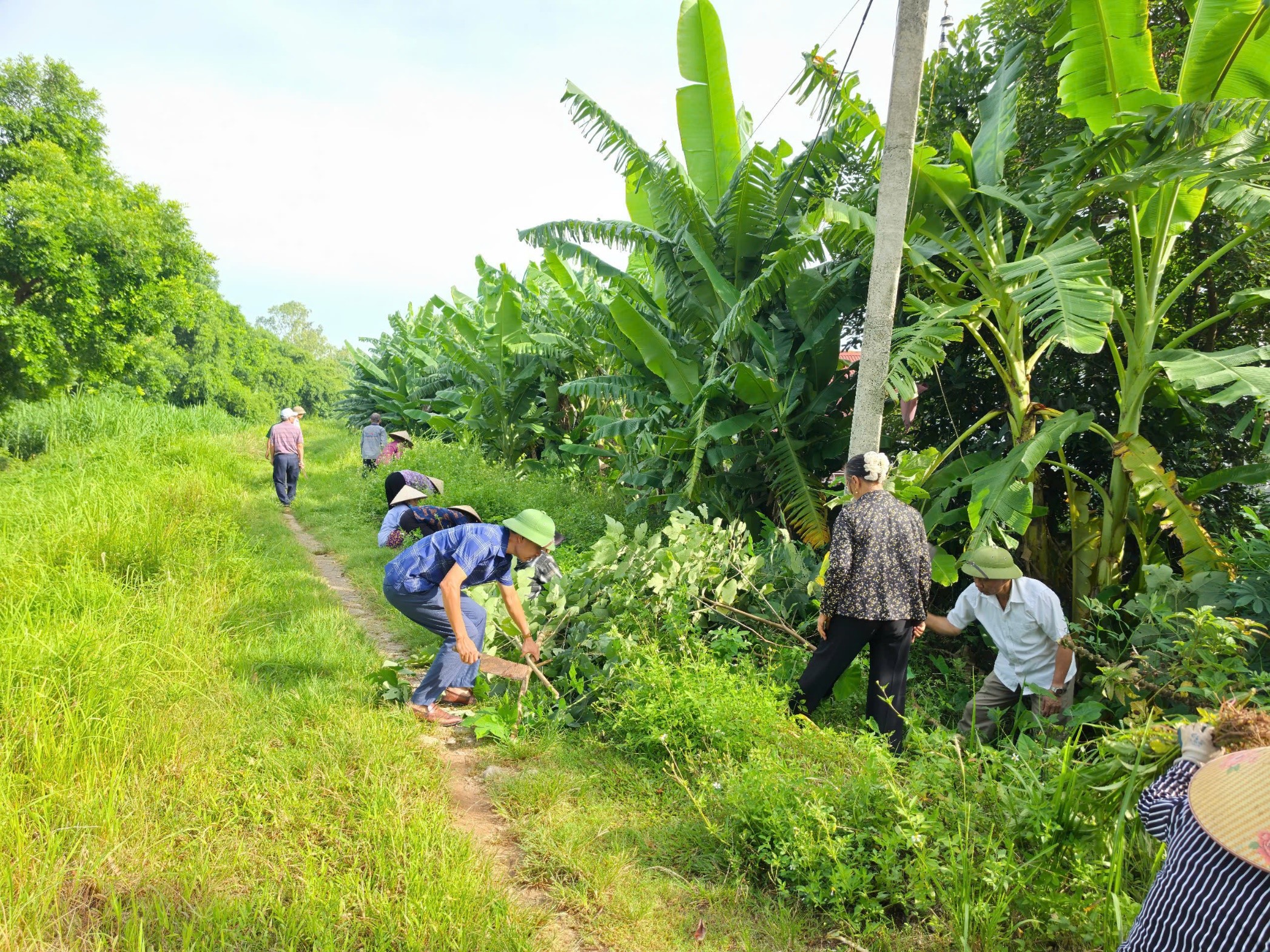Tổ dân phố Phú Cường, phường Sơn Nam ra quân phát quang cơi đê, mái đê, chủ động ứng phó mùa mưa bão năm 2026